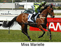 Miss Marielle (16193 bytes)