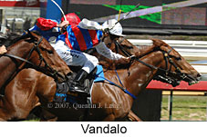 Vandalo (16193 bytes)