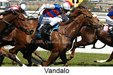 Vandalo (16193 bytes)