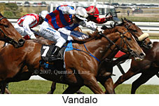 Vandalo (16193 bytes)