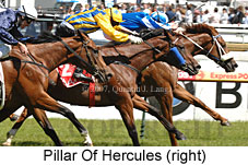 Pillar Of Hercules (16193 bytes)