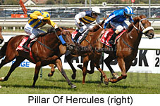 Pillar Of Hercules (16193 bytes)