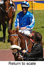 Return to scale (16492 bytes)