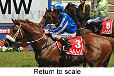 Return to scale (16492 bytes)