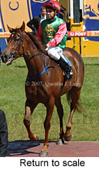 Return to scale (16492 bytes)