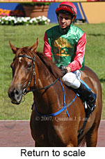 Return to scale (16492 bytes)