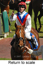 Return to scale (16492 bytes)