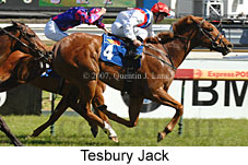 Tesbury Jack (16193 bytes)