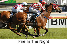 Fire In The Night (16193 bytes)