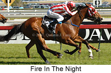 Fire In The Night (16193 bytes)