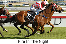 Fire In The Night (16193 bytes)