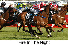 Fire In The Night (16193 bytes)