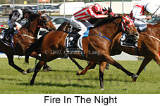Fire In The Night (16193 bytes)