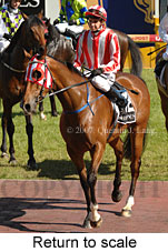 Return to scale (16492 bytes)