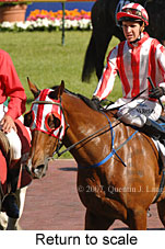 Return to scale (16492 bytes)