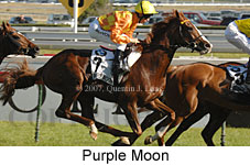 Purple Moon (16193 bytes)