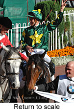 Return to scale (16492 bytes)