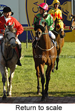 Return to scale (16492 bytes)