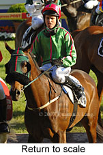 Return to scale (16492 bytes)