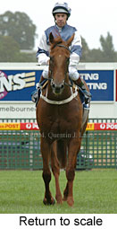 Return to scale (13836 bytes)