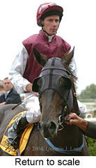 Return to scale (11843 bytes)