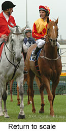 Return to scale (14661 bytes)