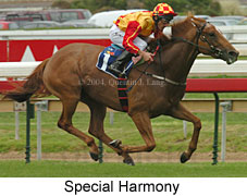 Special Harmony (16867 bytes)