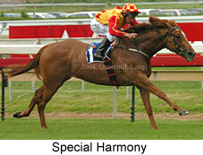Special Harmony (16883 bytes)