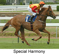 Special Harmony (14342 bytes)