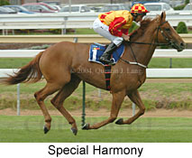Special Harmony (15228 bytes)