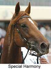 Special Harmony (12603 bytes)