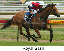 Royal Sash (15183 bytes)