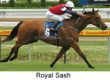 Royal Sash (16206 bytes)