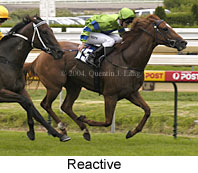 Reactive (14837 bytes)