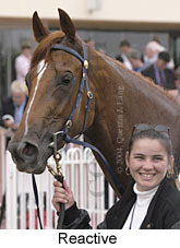 Reactive (13068 bytes)