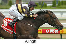 Alinghi (15031 bytes)