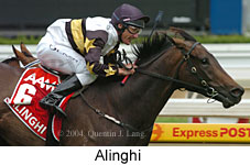 Alinghi (14004 bytes)