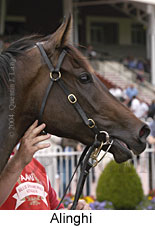 Alinghi (12452 bytes)