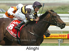 Alinghi (15134 bytes)