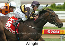 Alinghi (15954 bytes)