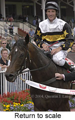 return to scale (15497 bytes)