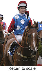 return to scale (13679 bytes)