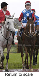 return to scale (14840 bytes)