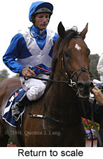 return to scale (12630 bytes)