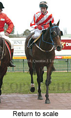 Return to scale (14925 bytes)