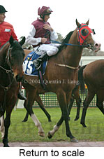 Return to scale (14925 bytes)