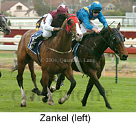 Zankel (18005 bytes)