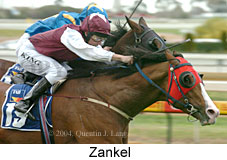 Zankel (18005 bytes)