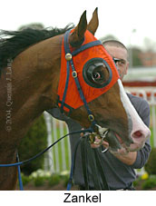 Zankel (18005 bytes)