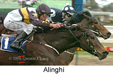 Alinghi (18005 bytes)